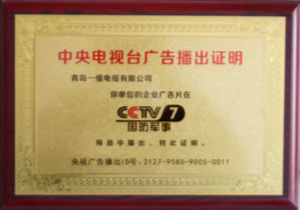 荣誉展示
