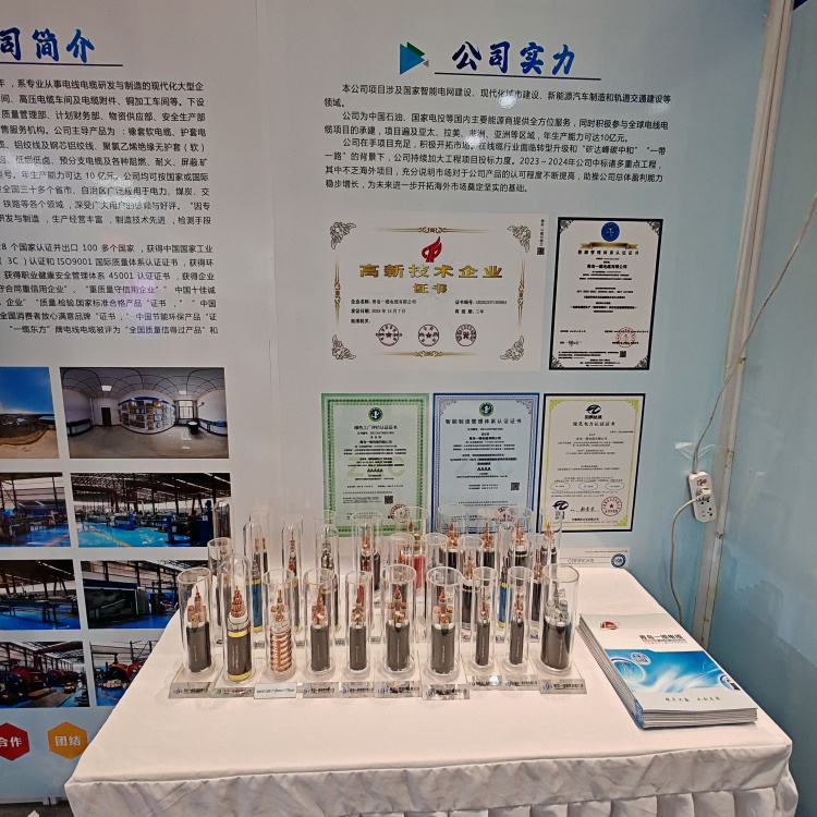 青岛一缆电缆参加2025（第四届）上海合作组织国际投资贸易博览会取得圆满成功