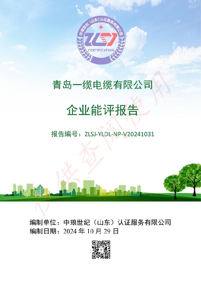 青岛一缆电缆企业能评报告