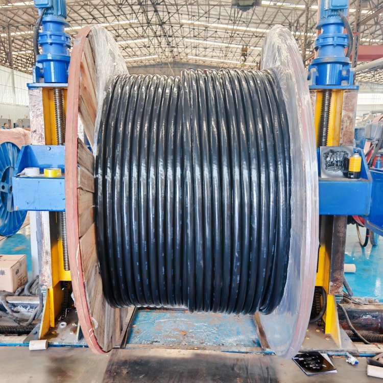 电力电缆在轨道交通中的应用效果与价值体现 电力电缆在轨道交通中的应用效果与价值体现