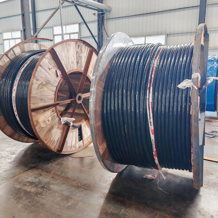 不同环境下动力电缆型号的选择与应用