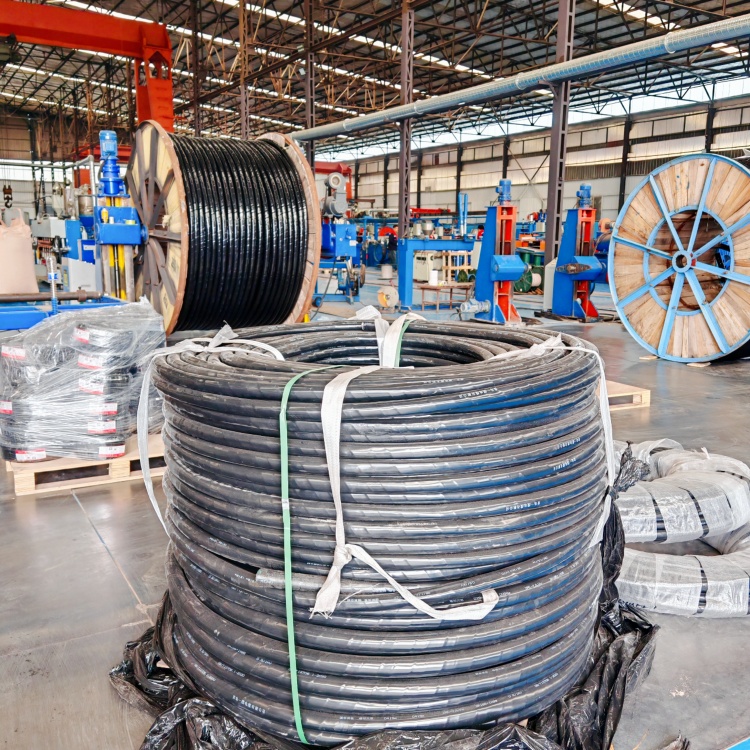 探讨轨道交通系统中具体使用的各类电缆及其主要用途。 探讨轨道交通系统中具体使用的各类电缆及其主要用途。