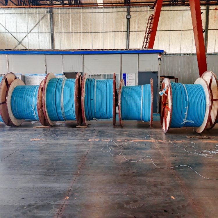 控制电缆防护与维护全指南